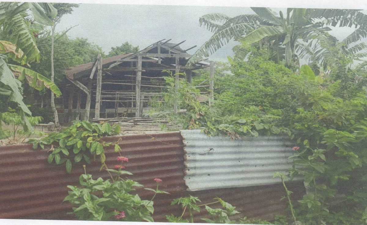 บ้านเดี่ยว นครสวรรค์ หนองบัว ทุ่งทอง 1884120