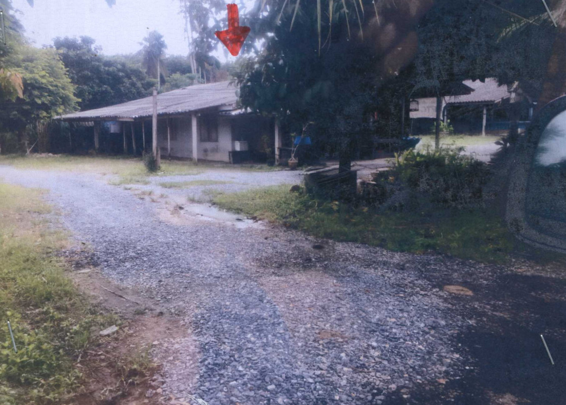 บ้านเดี่ยว นครศรีธรรมราช ทุ่งสง ที่วัง 876660