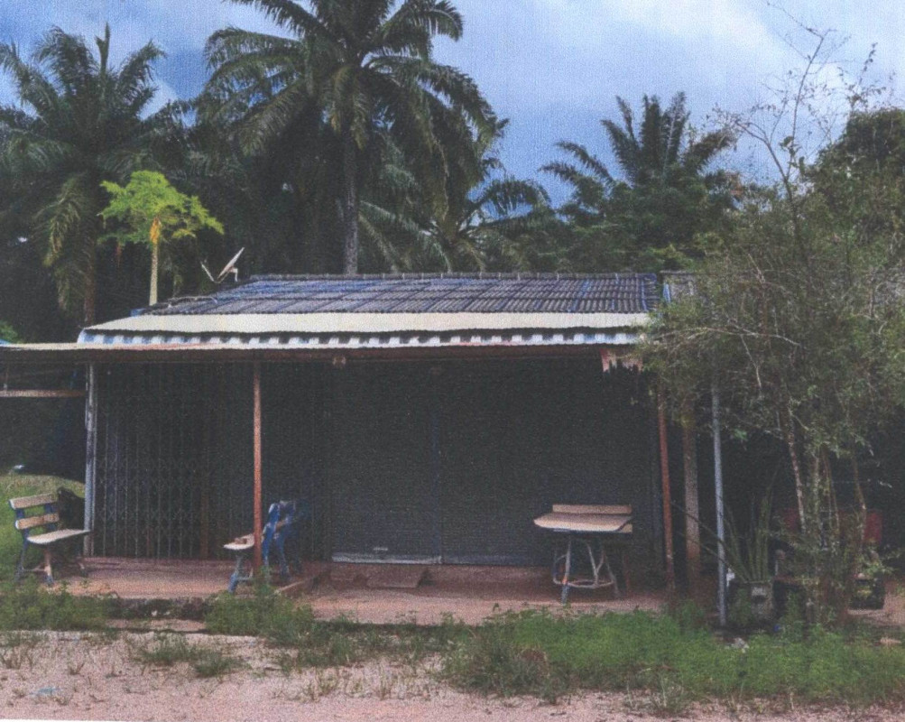 ทาวน์เฮ้าส์ สุราษฎร์ธานี ชัยบุรี ไทรทอง 320682