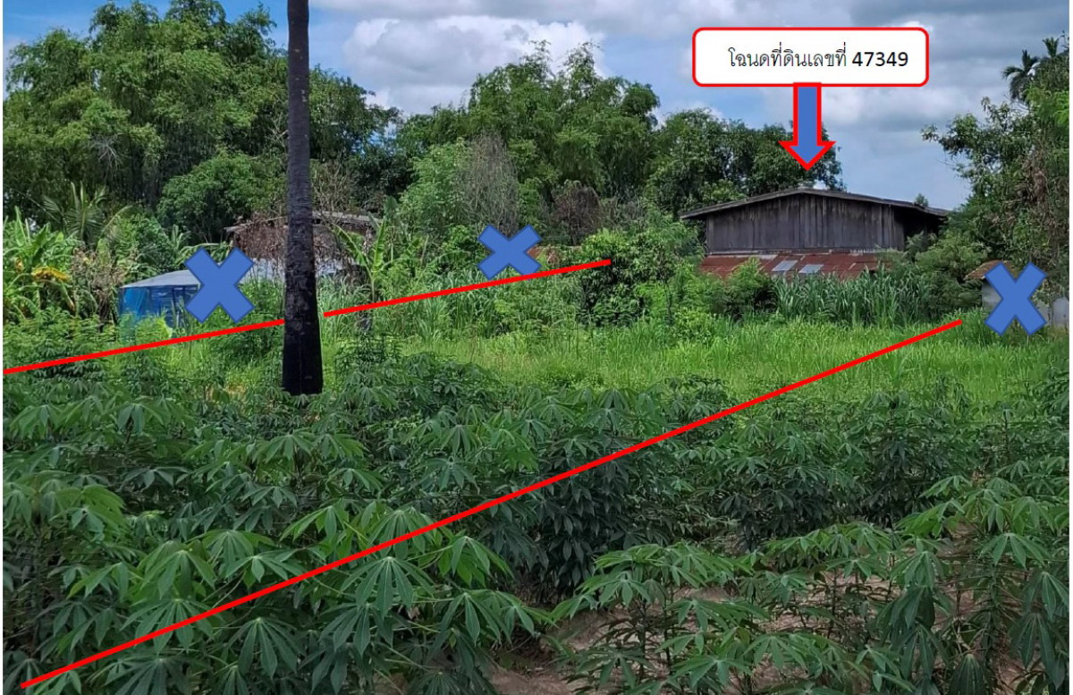 บ้านเดี่ยว บุรีรัมย์ สตึก สตึก 565360