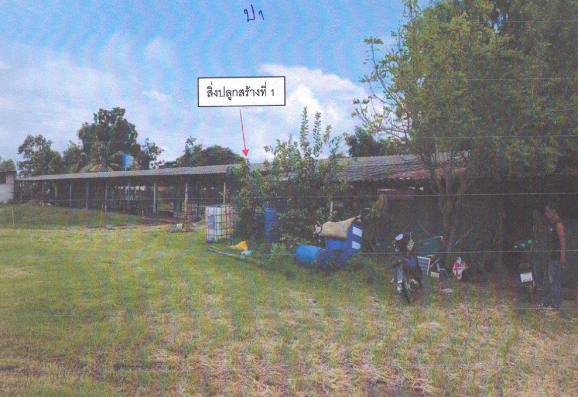 บ้านเดี่ยว ศรีสะเกษ เมืองศรีสะเกษ หนองไฮ 1553870