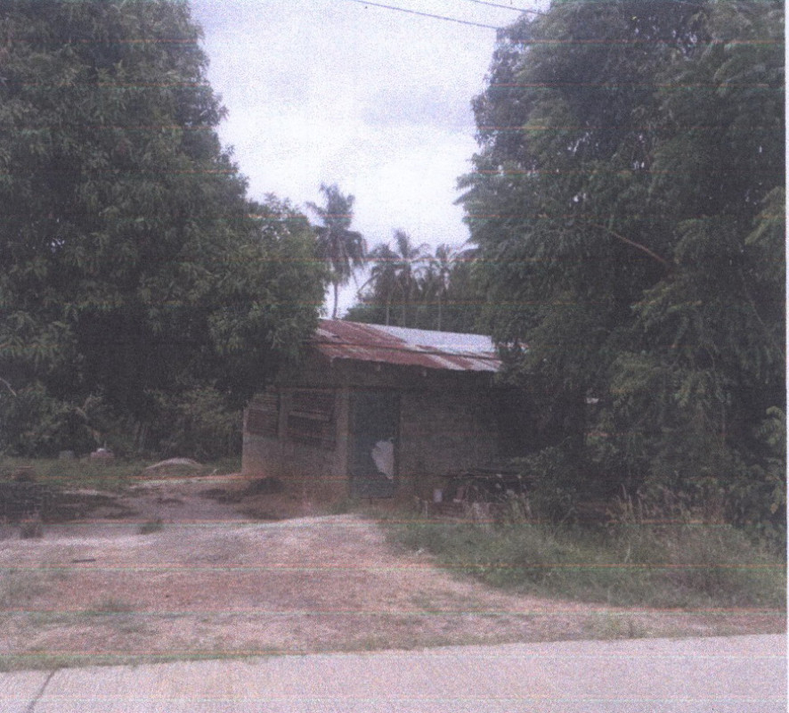 บ้านเดี่ยว นครสวรรค์ ลาดยาว บ้านไร่ 342240