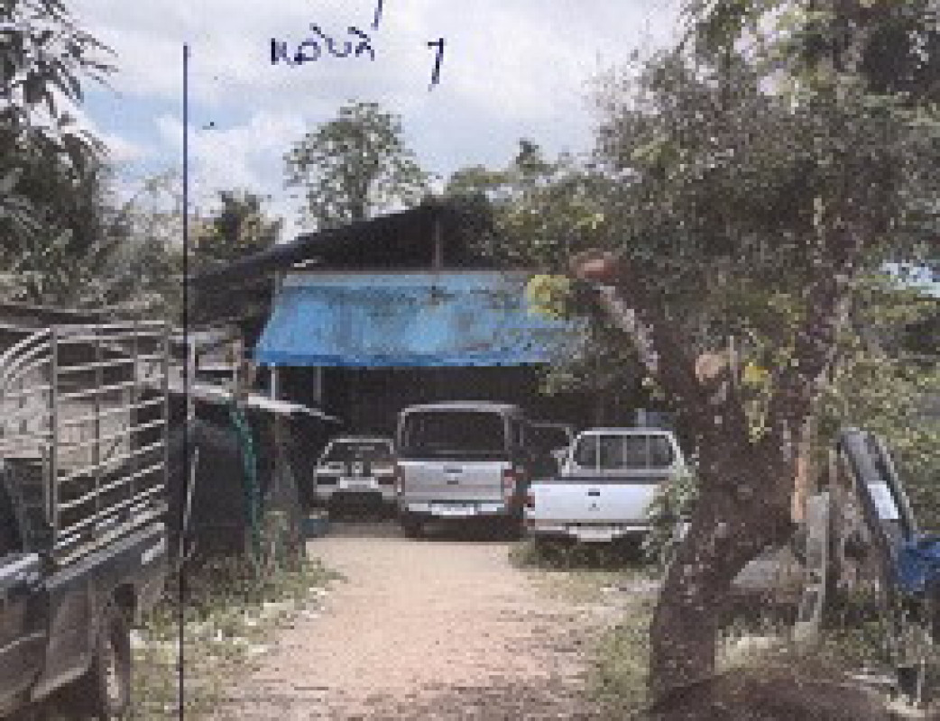 บ้านเดี่ยว นราธิวาส ระแงะ บาโงสะโต 1101540