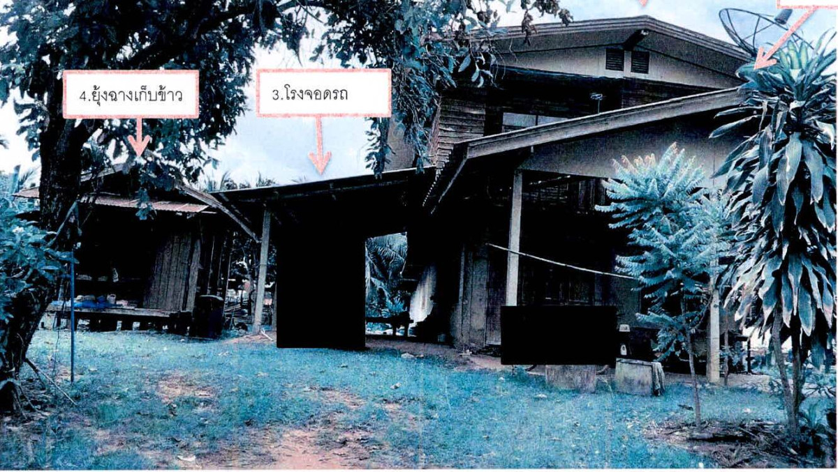 บ้านเดี่ยว สุรินทร์ สังขะ กระเทียม 751005