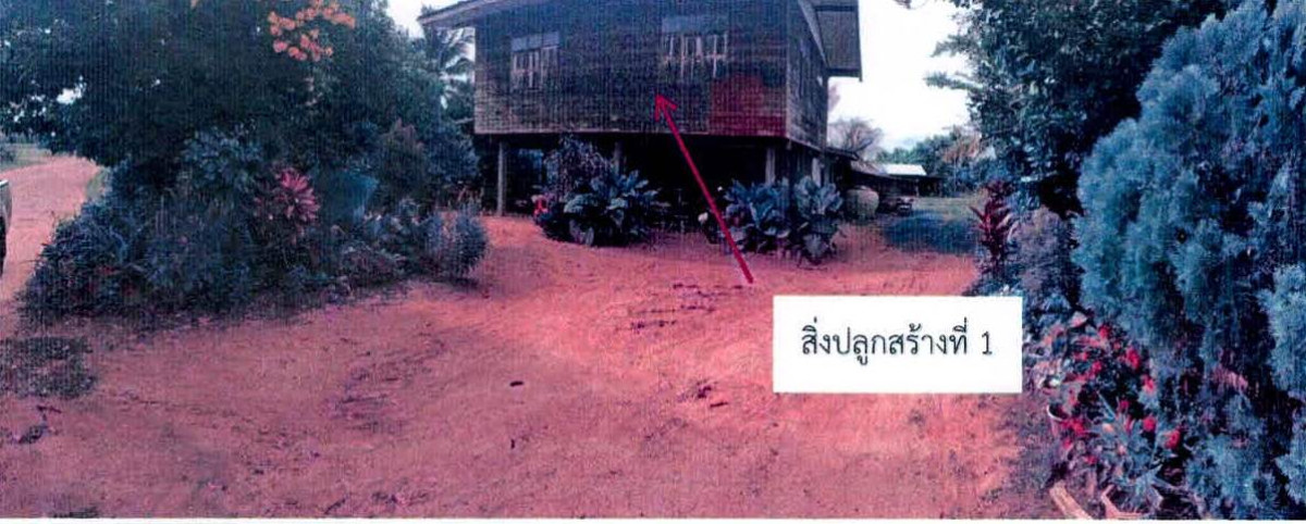 บ้านเดี่ยว สุรินทร์ กาบเชิง แนงมุด 917220