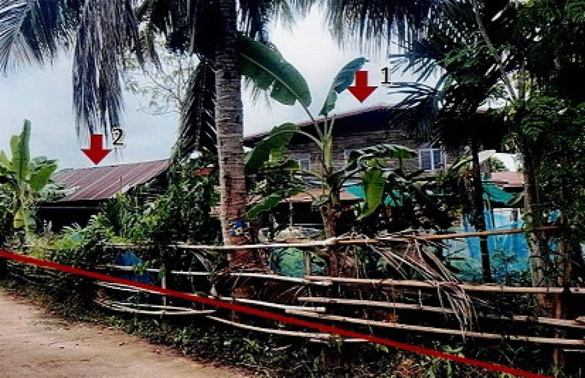 บ้านเดี่ยว ศรีสะเกษ โนนคูณ โพธิ์ 177569