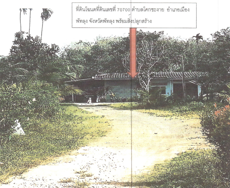 บ้านเดี่ยว พัทลุง เมืองพัทลุง โคกชะงาย 1556250