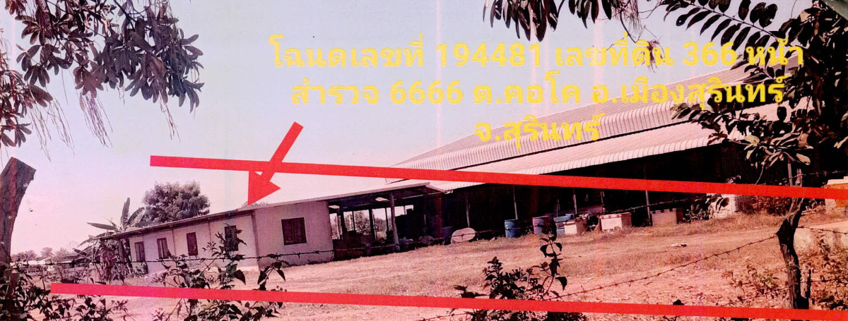 บ้านเดี่ยว สุรินทร์ เมืองสุรินทร์ คอโค 638340