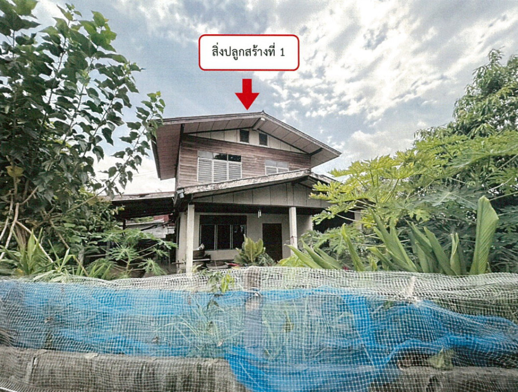 บ้านเดี่ยว มหาสารคาม วาปีปทุม งัวบา 180300