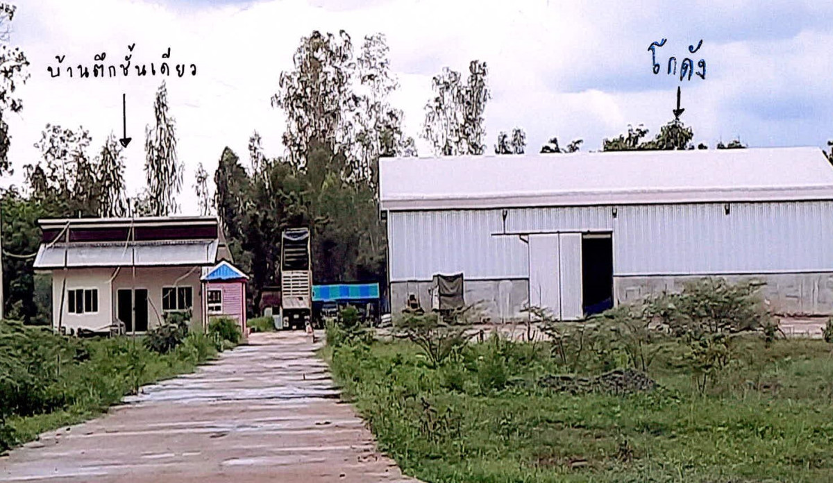 บ้านเดี่ยว ศรีสะเกษ น้ำเกลี้ยง รุ่งระวี 7008060