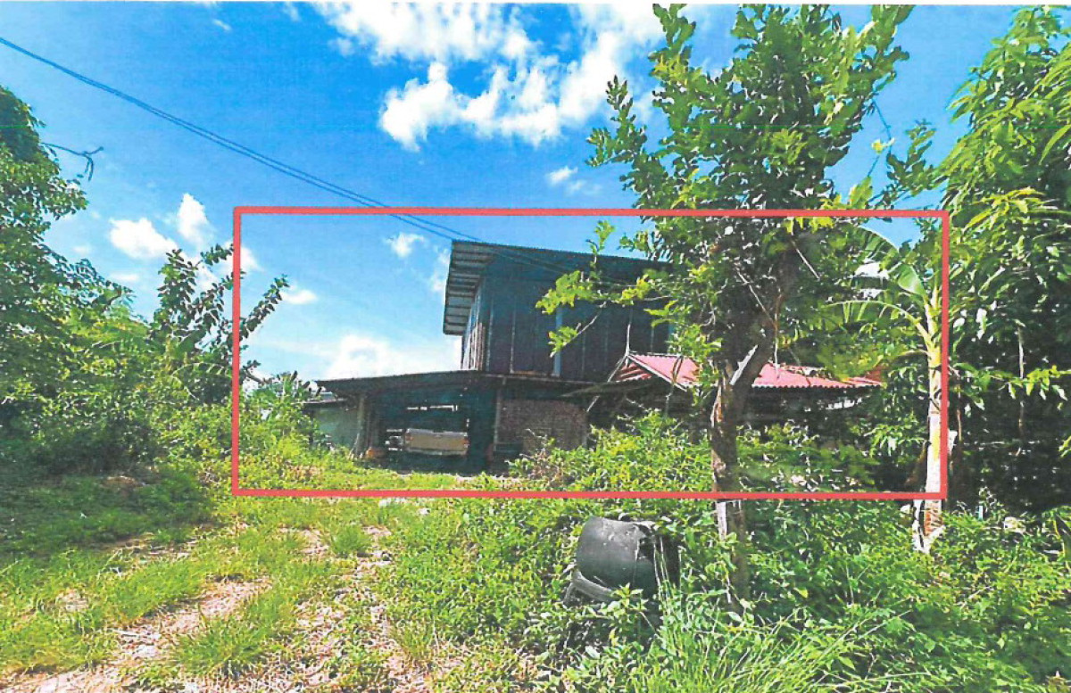 บ้านเดี่ยว มหาสารคาม นาดูน หนองคู 458950