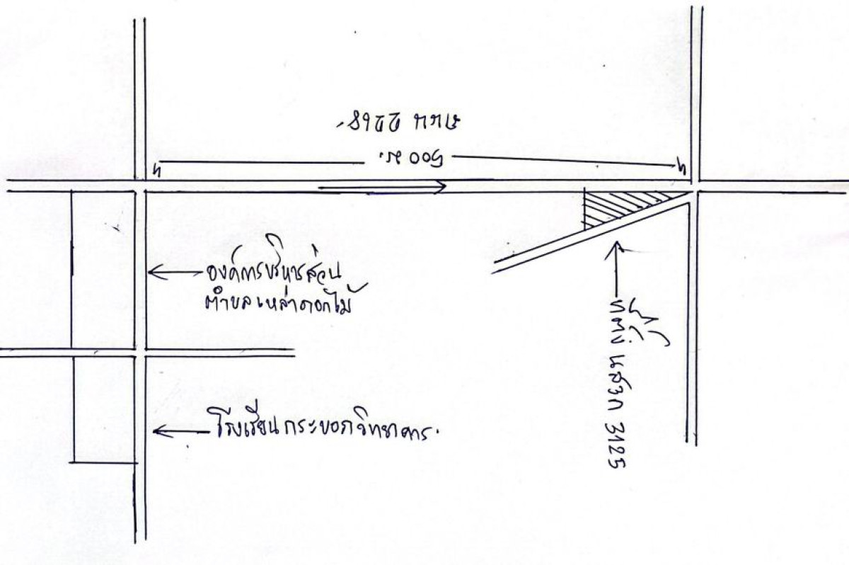 ทาวน์เฮ้าส์ มหาสารคาม ชื่นชม เหล่าดอกไม้ 780750