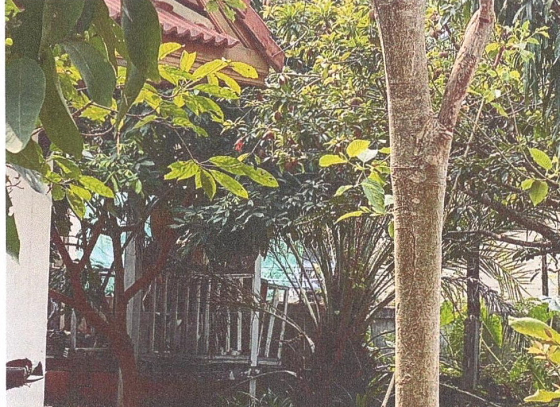 บ้านเดี่ยว ขอนแก่น ชุมแพ ชุมแพ 1093620