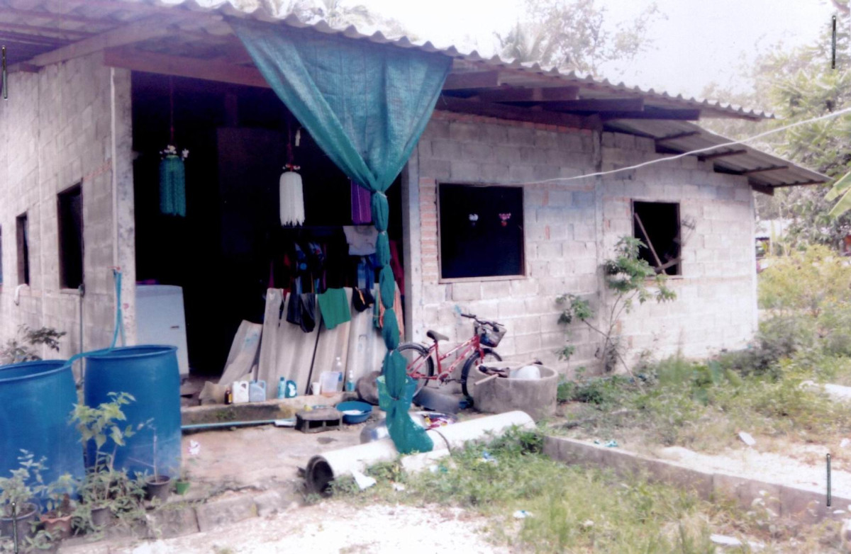 บ้านเดี่ยว สุราษฎร์ธานี ท่าฉาง คลองไทร 921160