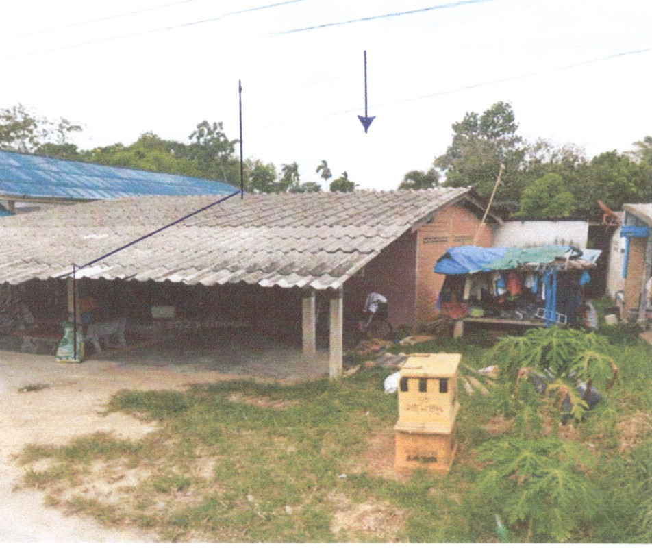 ทาวน์เฮ้าส์ พัทลุง ป่าบอน ป่าบอน 408900