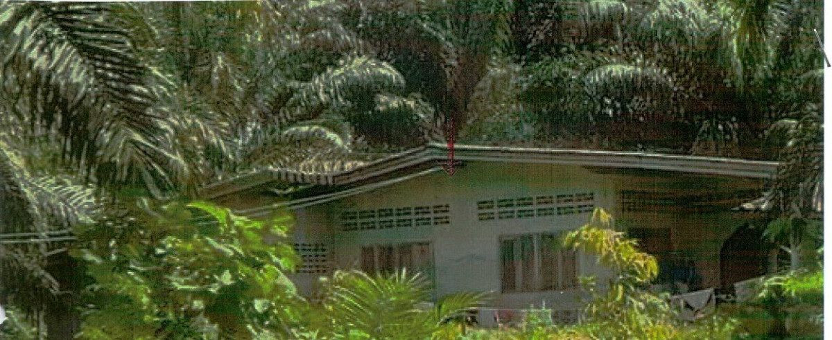 บ้านเดี่ยว นครศรีธรรมราช ทุ่งสง หนองหงส์ 1514850