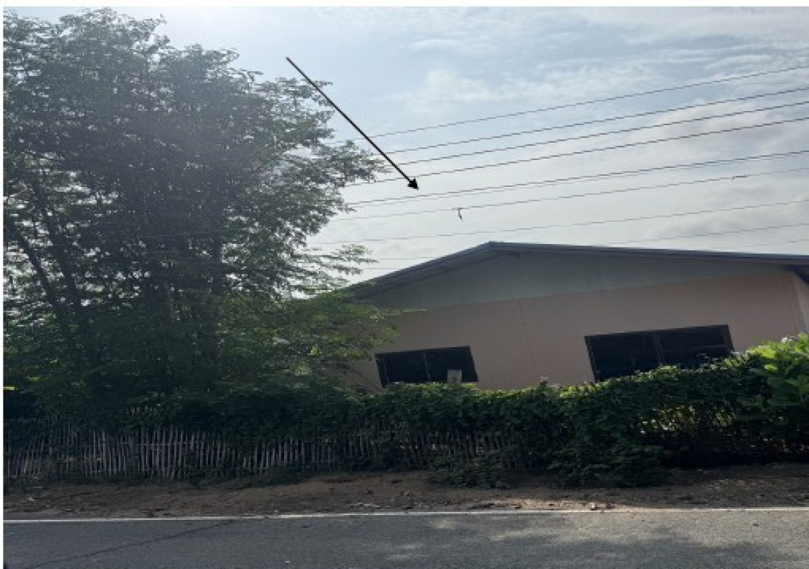 บ้านเดี่ยว ยโสธร มหาชนะชัย ฟ้าหยาด 405880