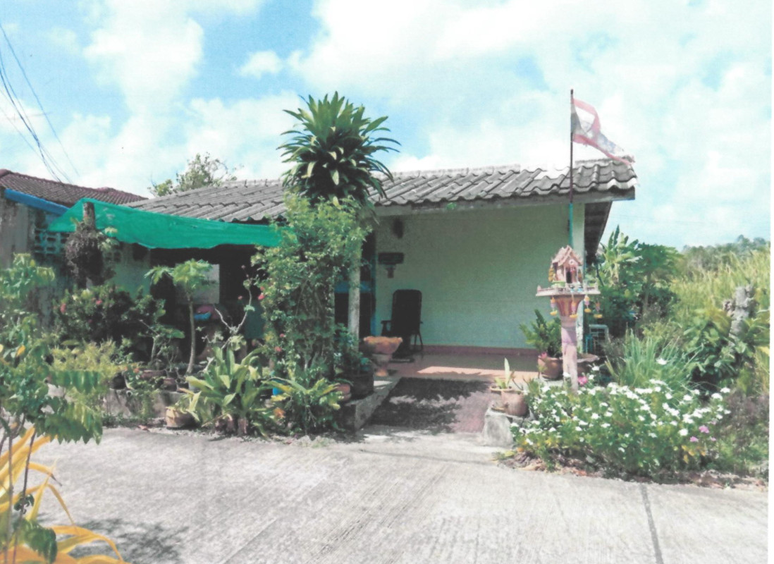 บ้านเดี่ยว นครศรีธรรมราช ปากพนัง ปากพนังฝั่งตะวันตก 236325