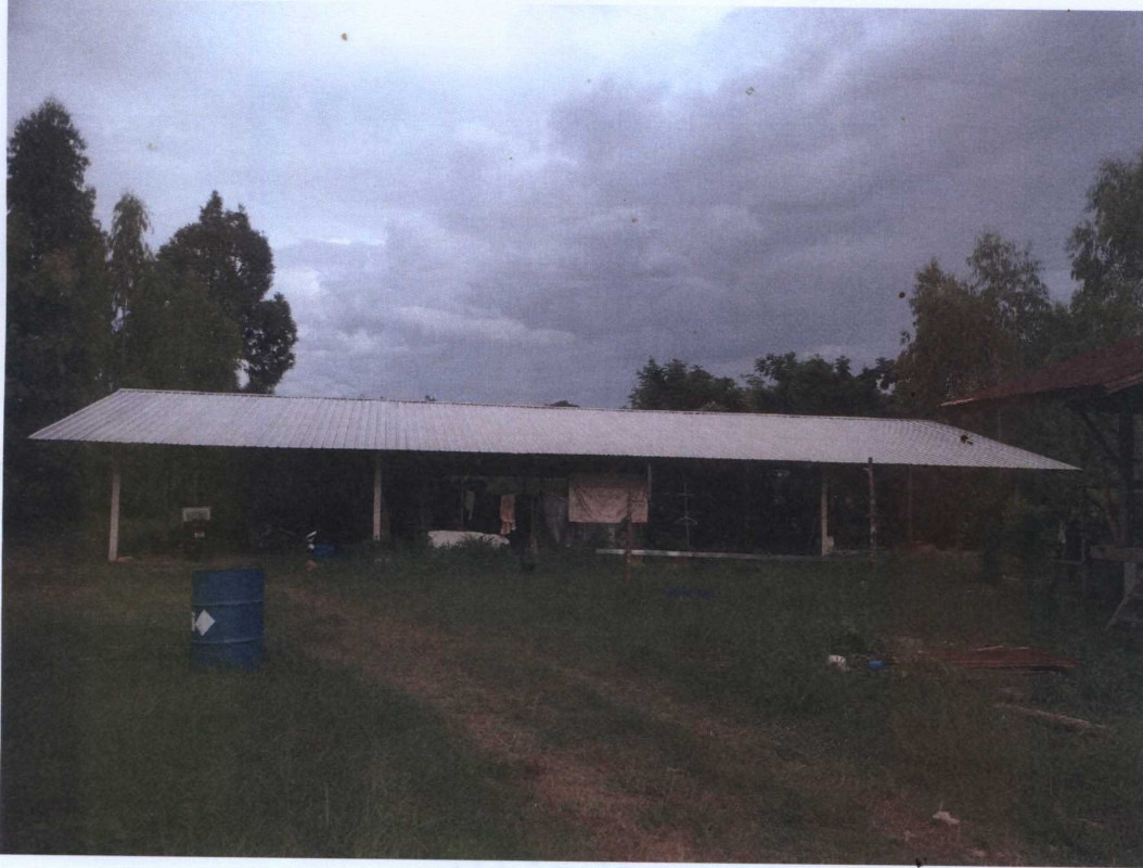 บ้านเดี่ยว ยโสธร กุดชุม หนองหมี 339056