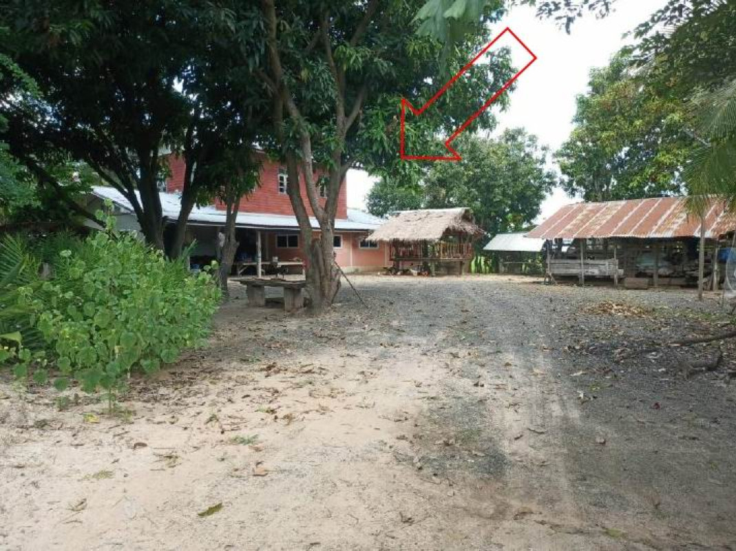 บ้านเดี่ยว ศรีสะเกษ โนนคูณ โพธิ์ 837260