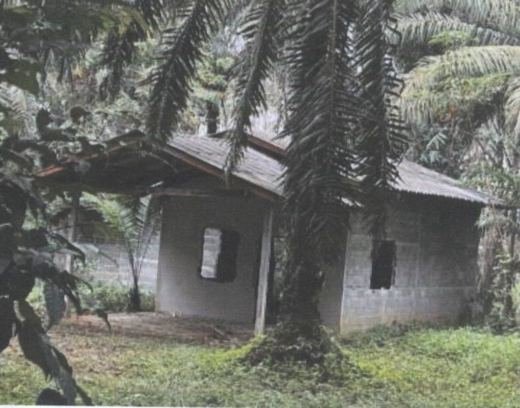 บ้านเดี่ยว สุราษฎร์ธานี พระแสง สินปุน 81560