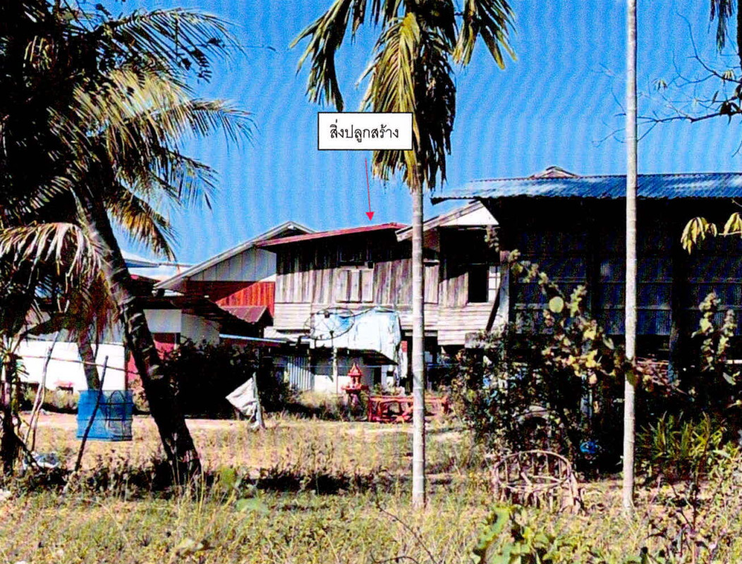 บ้านเดี่ยว ศรีสะเกษ วังหิน ธาตุ 223295