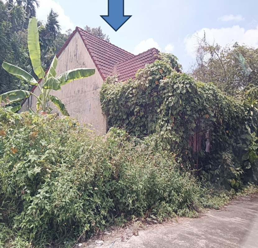 ทาวน์เฮ้าส์ นครศรีธรรมราช ทุ่งสง ปากแพรก 781600