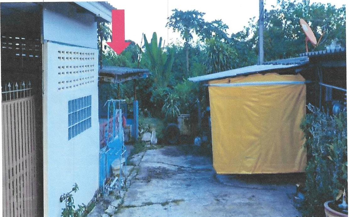 ทาวน์เฮ้าส์ ชัยนาท เมืองชัยนาท บ้านกล้วย 316096