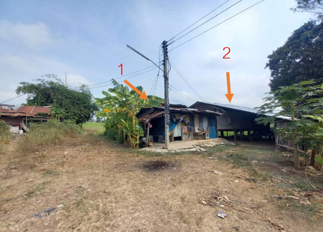 บ้านเดี่ยว สุโขทัย กงไกรลาศ ป่าแฝก 1254450