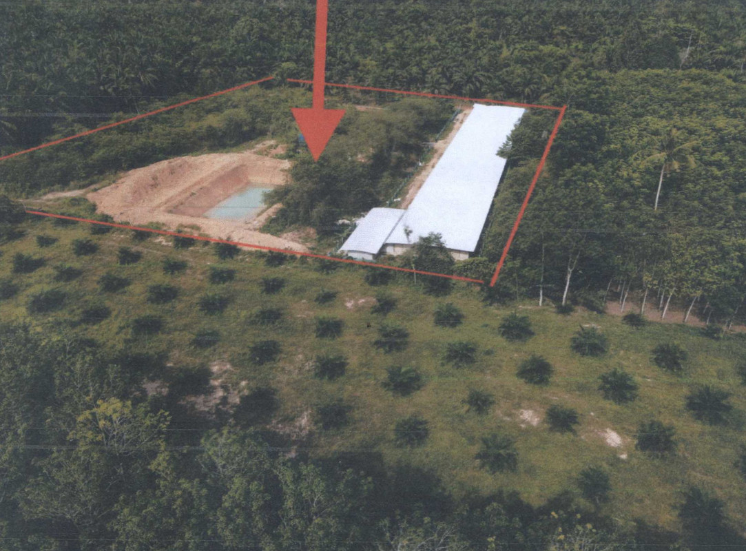 บ้านเดี่ยว สุราษฎร์ธานี ชัยบุรี คลองน้อย 3984282