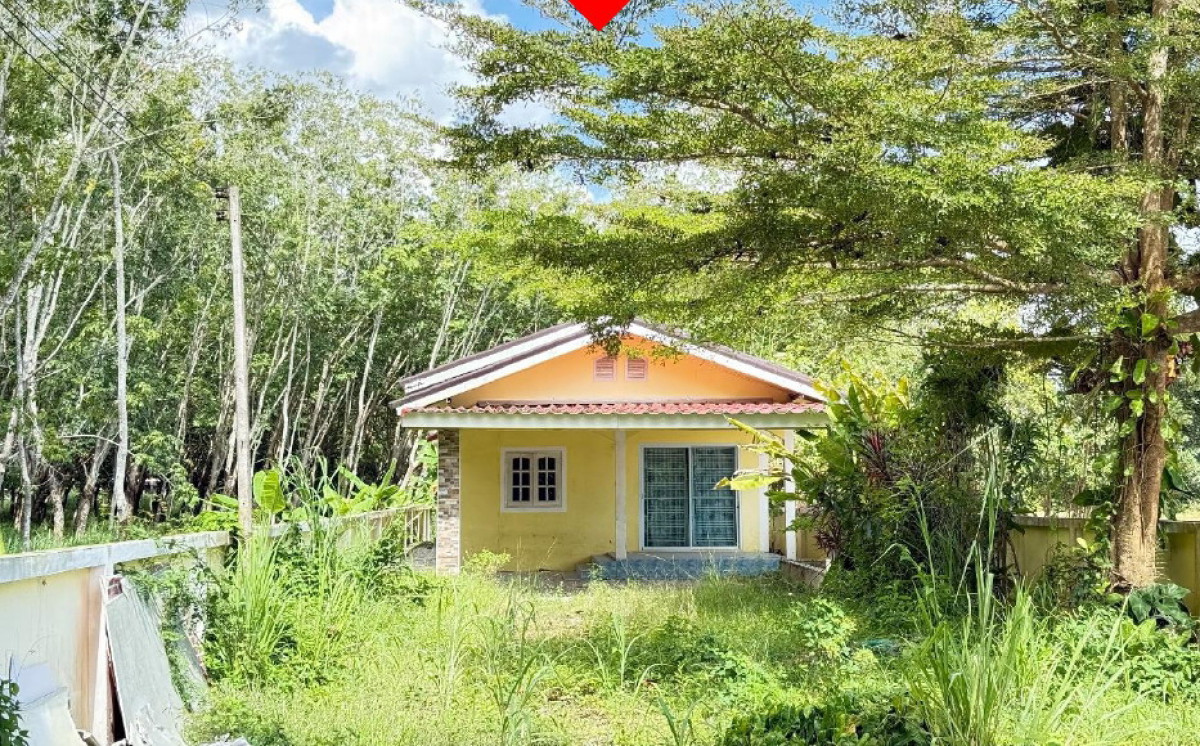 Single house Rayong Ban Khai Nong Bua 766400