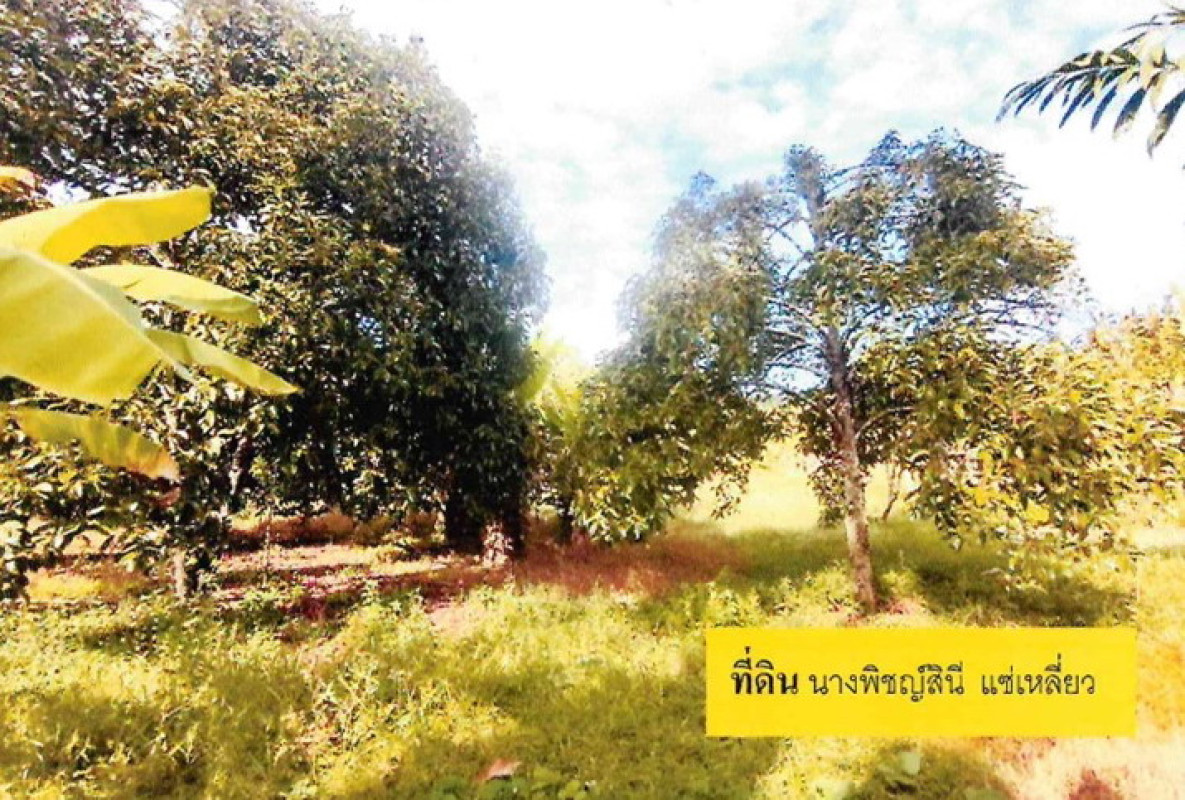 บ้านเดี่ยว ระยอง แกลง ชากพง 282800