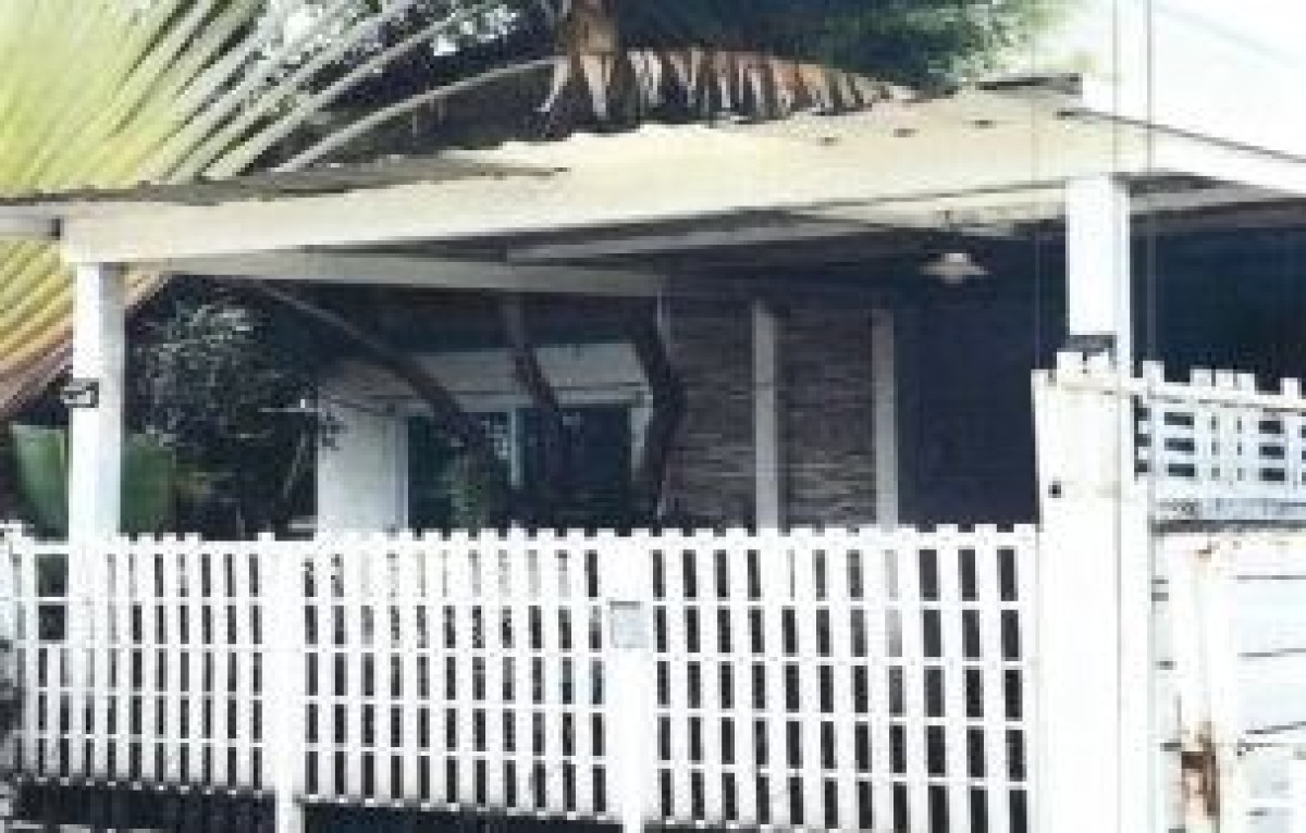 ทาวน์เฮ้าส์ นครราชสีมา เมืองนครราชสีมา หนองบัวศาลา 621915