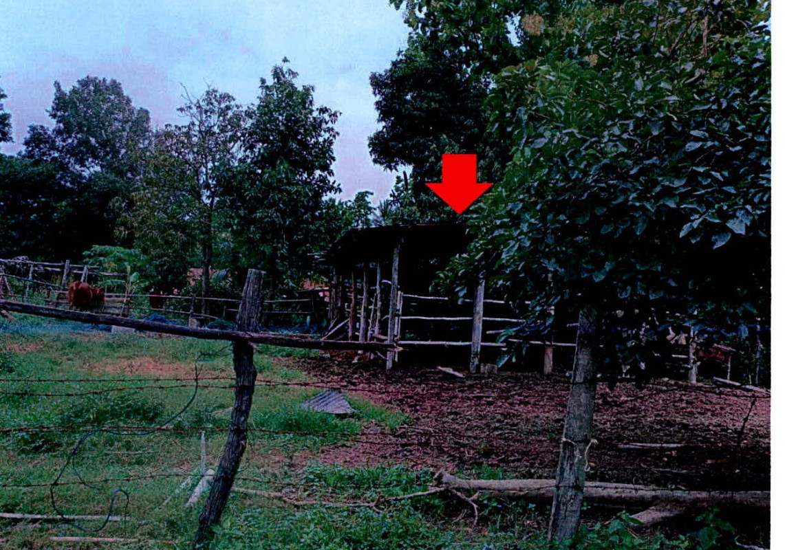 บ้านเดี่ยว สุรินทร์ เมืองสุรินทร์ นาบัว 71890