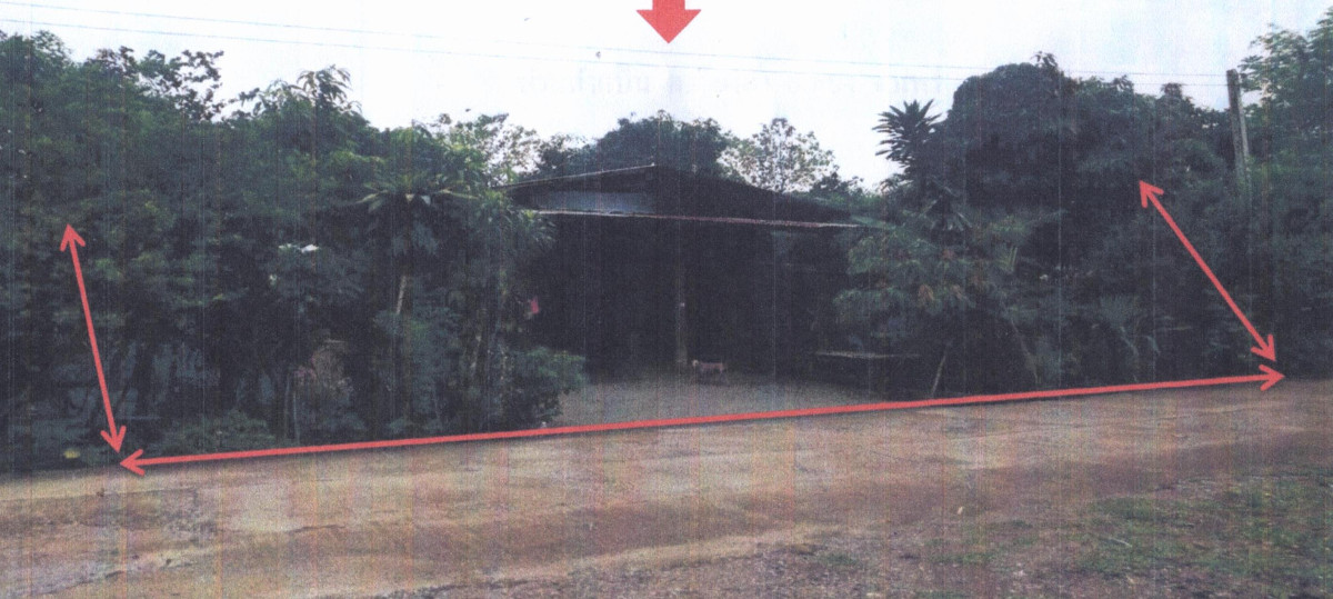 Single house Phrae Long Wiang Ta 196180