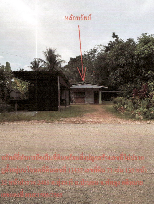 บ้านเดี่ยว พัทลุง ป่าบอน ทุ่งนารี 551664