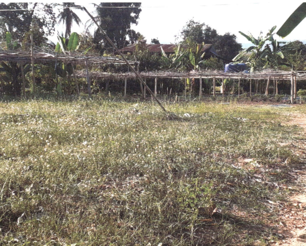 ที่ดินเปล่า อุตรดิตถ์ ทองแสนขัน ผักขวง 27200