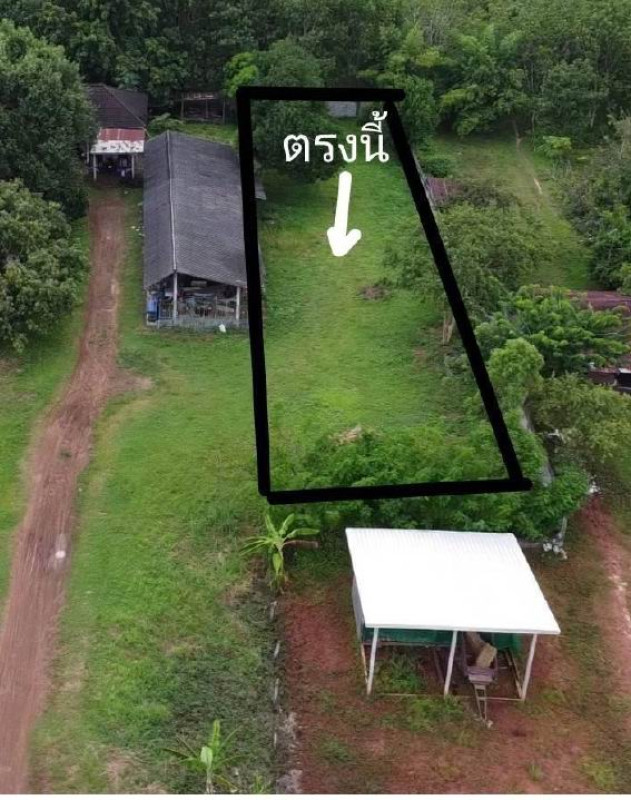 บ้านเดี่ยว ศรีสะเกษ กันทรลักษ์ หนองหญ้าลาด 1568028