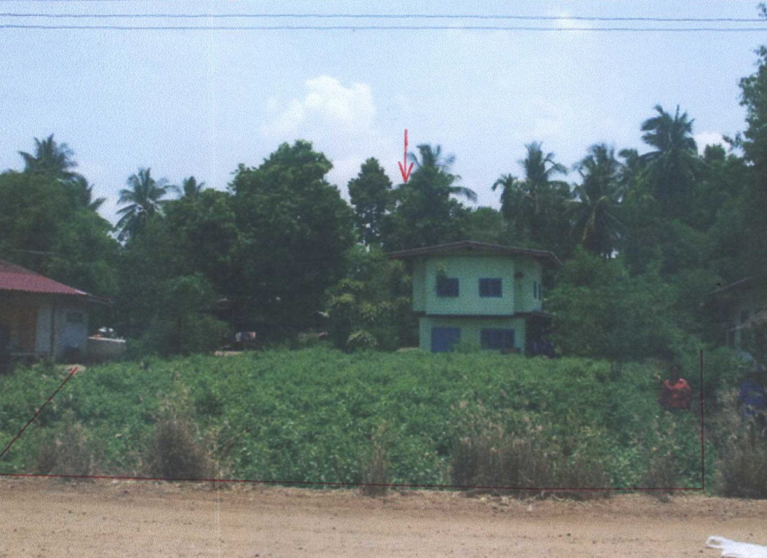 บ้านเดี่ยว นครสวรรค์ บรรพตพิสัย ตาสัง 984600