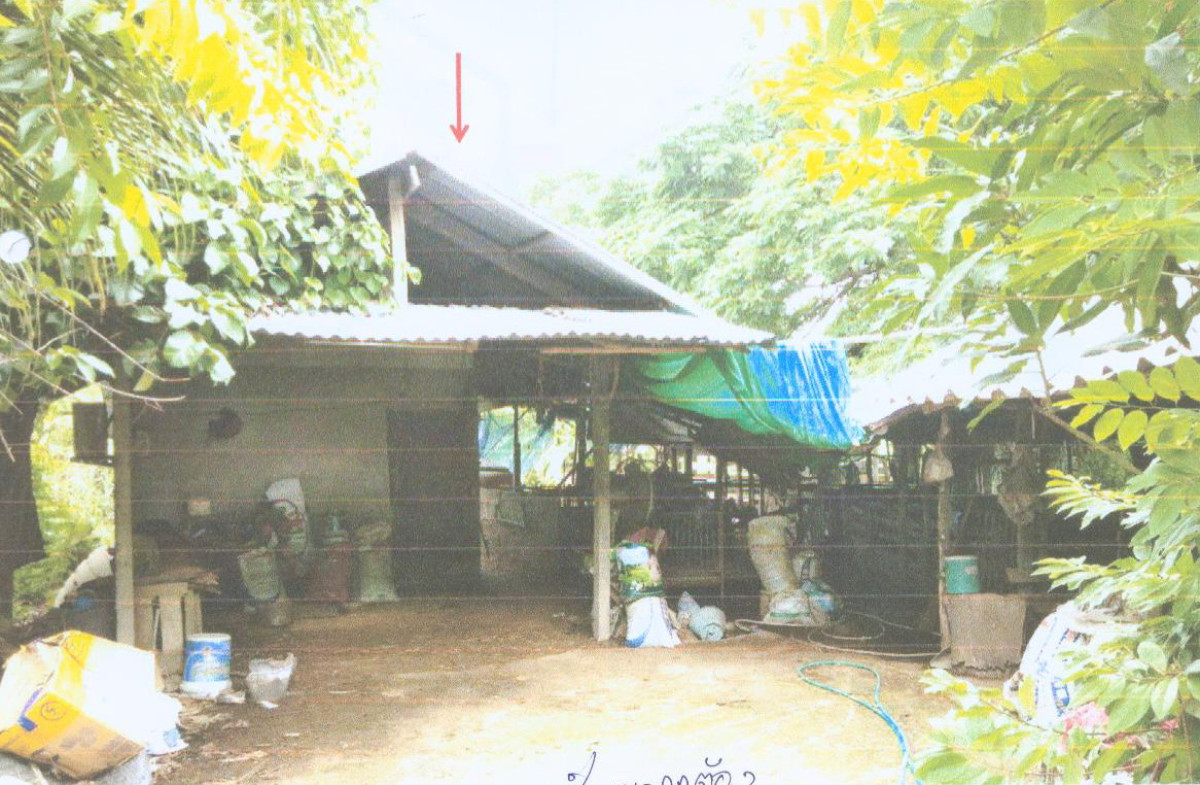 บ้านเดี่ยว มหาสารคาม โกสุมพิสัย หัวขวาง 134000