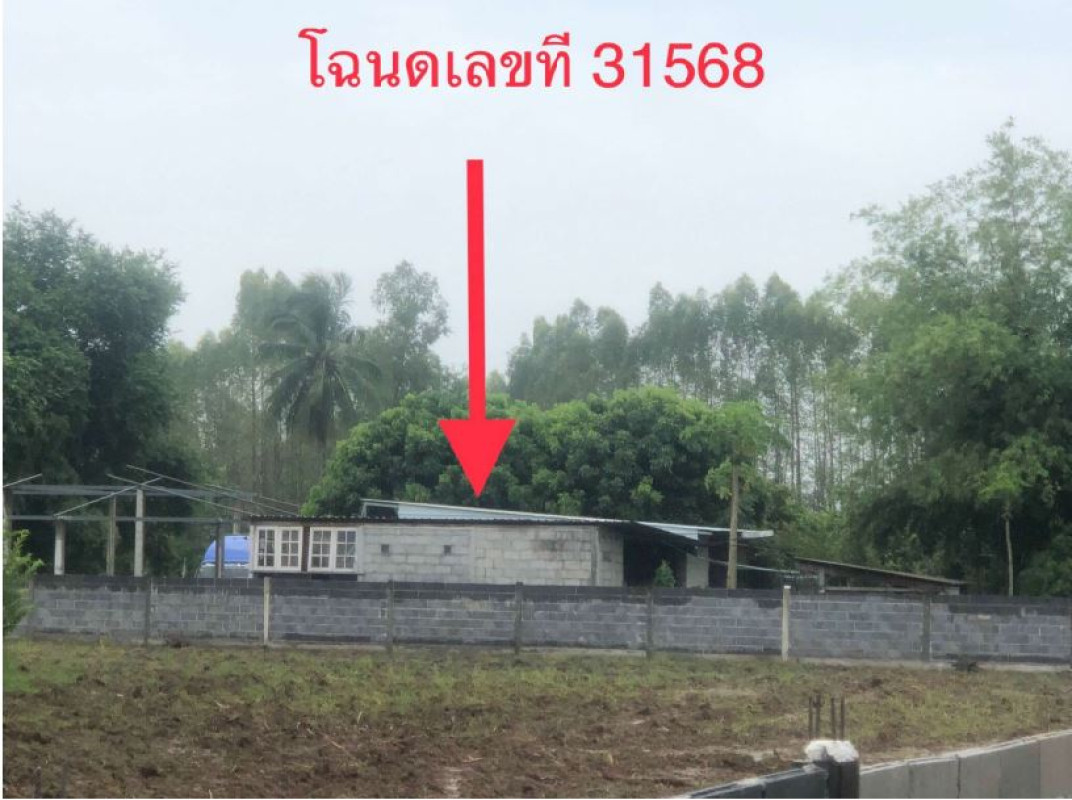 Single house Udon Thani Ban Phue Champa Mok 604480