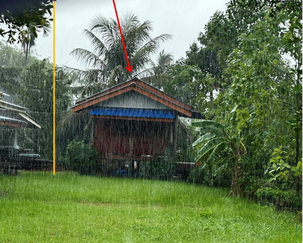 บ้านเดี่ยว นครศรีธรรมราช ปากพนัง ปากพนังฝั่งตะวันตก 238550