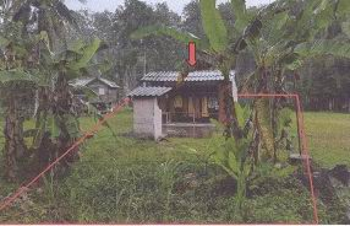 บ้านเดี่ยว ตรัง ห้วยยอด หนองช้างแล่น 206640
