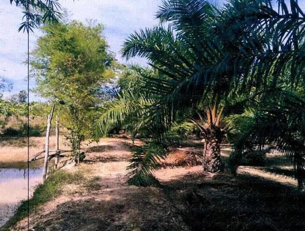 ที่ดินเปล่า หนองคาย โพนพิสัย กุดบง 1090750