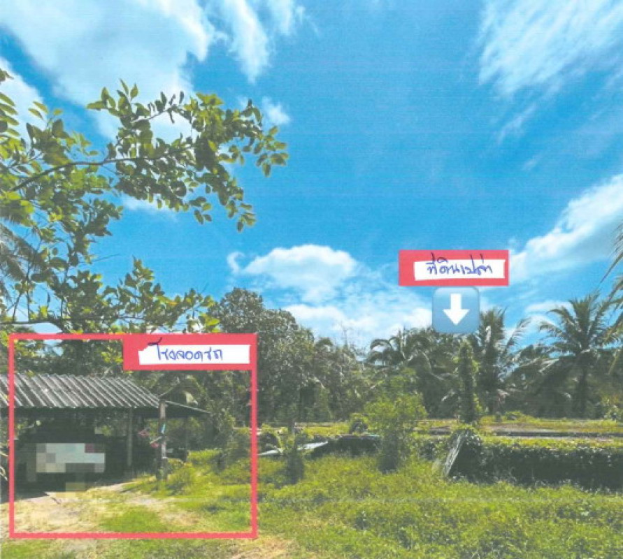 บ้านเดี่ยว นครศรีธรรมราช เมืองนครศรีธรรมราช ปากพูน 276165