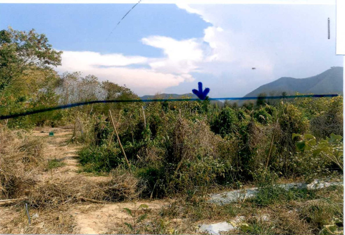 ที่ดินเปล่า เพชรบุรี ท่ายาง เขากระปุก 1246700