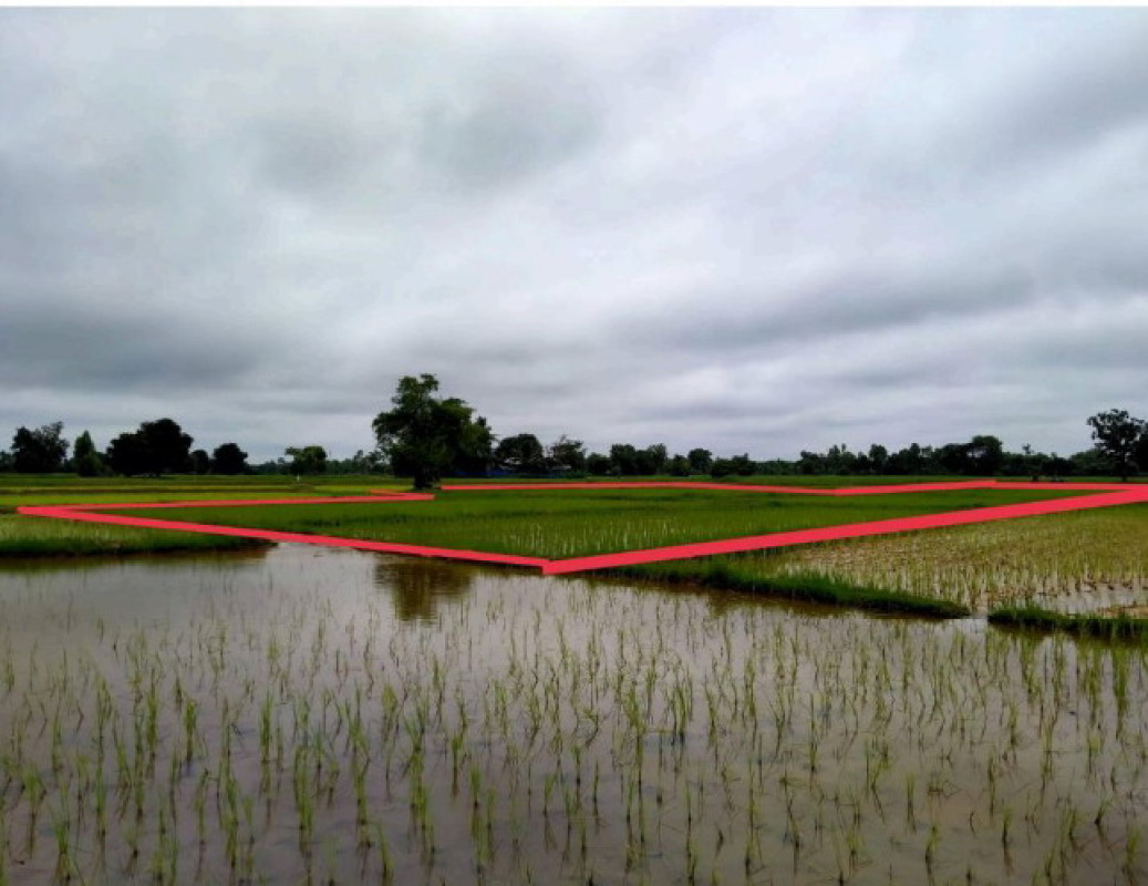 ที่ดินเปล่า สกลนคร โคกศรีสุพรรณ แมดนาท่ม 69000