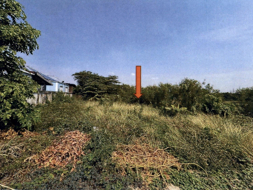 ที่ดินเปล่า พระนครศรีอยุธยา ท่าเรือ ศาลาลอย 1301000