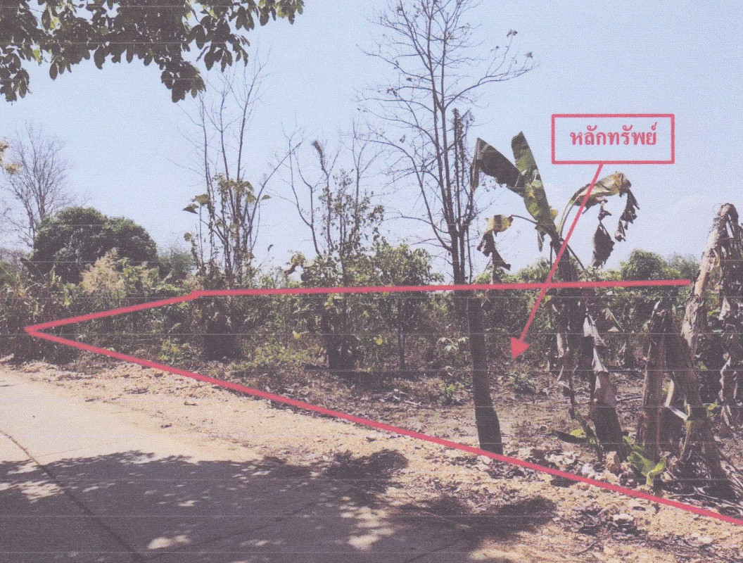 ที่ดินเปล่า ตาก ท่าสองยาง แม่ต้าน 234000