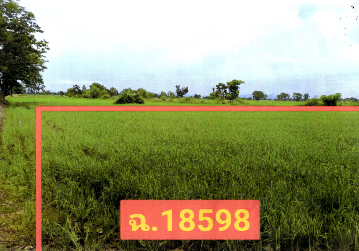 ที่ดินเปล่า อุตรดิตถ์ ตรอน วังแดง 192640